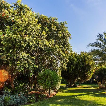 Suite Bora Bora Marbella Dış mekan fotoğraf